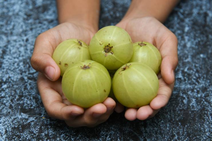 Indian gooseberry