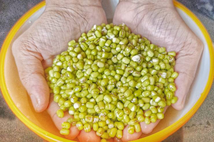 Mung Bean Miraculous Nutritional Powerhouse