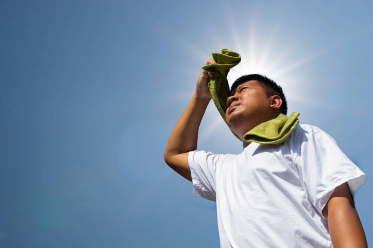 Mung Bean protect from Heat Stroke