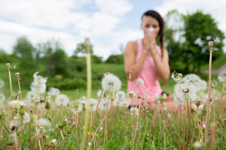 Pollen Allergies Types