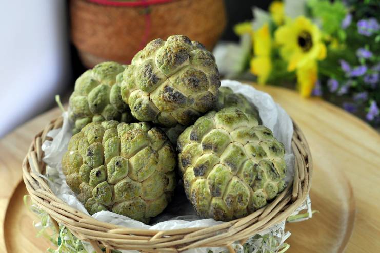 Risk Factors of Custard Apple