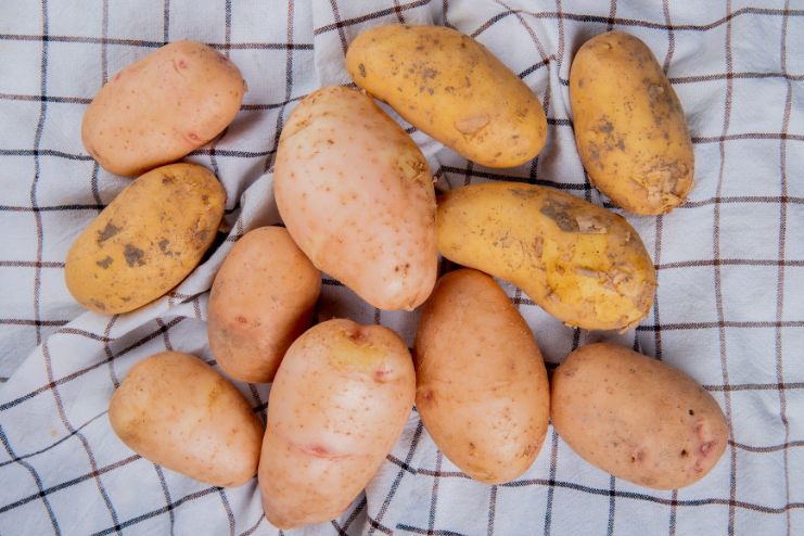 Russet potatoes