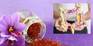 కుంకుమపువ్వుతో అల్సరేటివ్ కొలిటిస్లో మంటకు ఉపశమనం - Saffron may help lower inflammation in ulcerative colitis Saffron benefits for ulcerative colitis