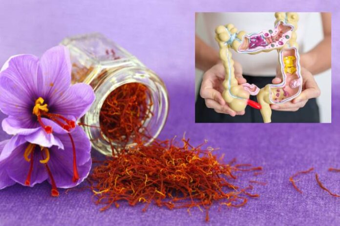 Saffron benefits for ulcerative colitis