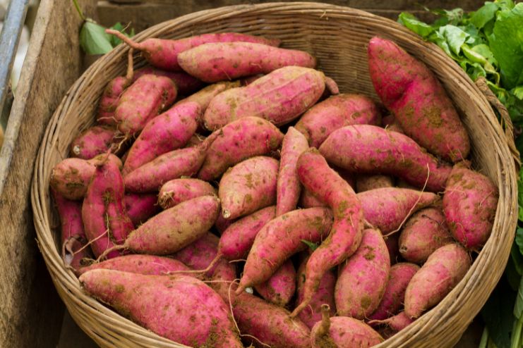 Sweet potatoes