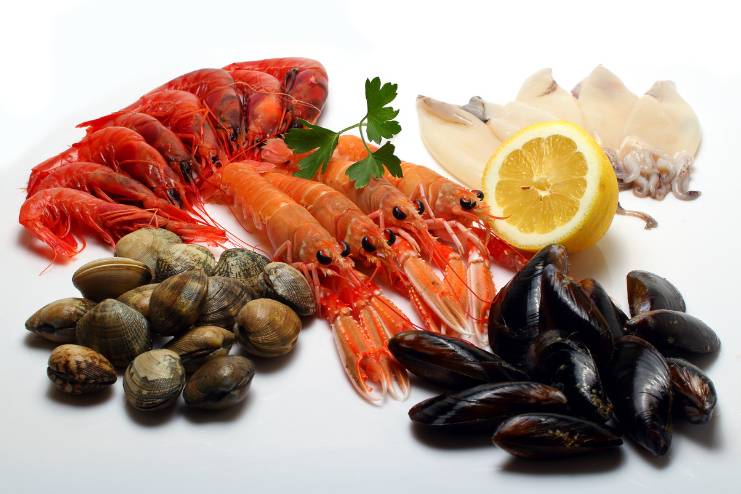 Types of shellfish