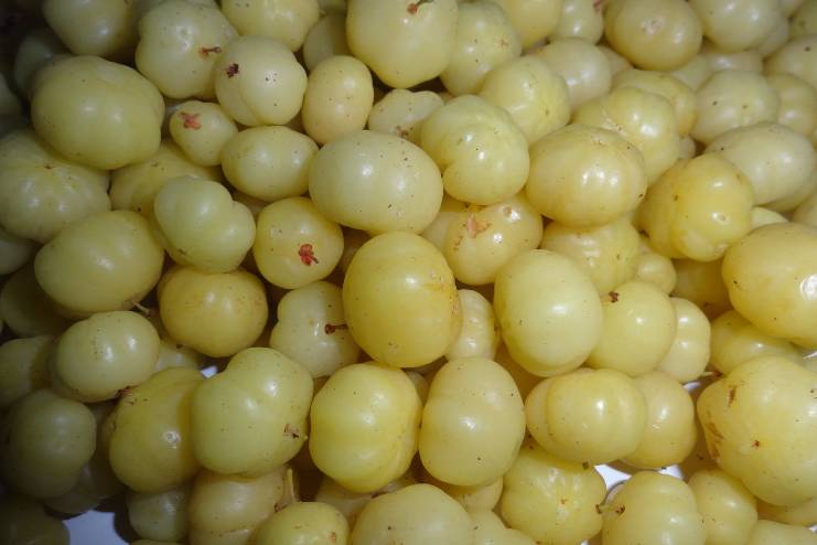 Amla