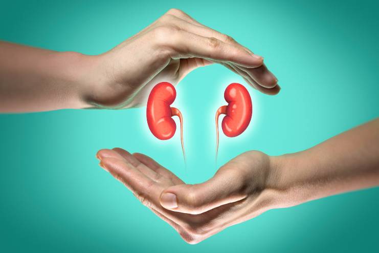 Benefits to kidney health