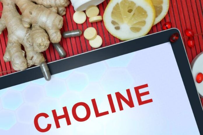 Choline Health Benefits