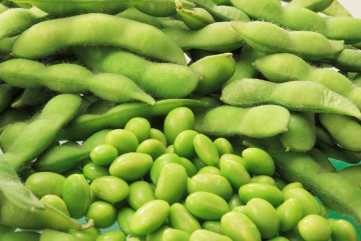 Edamame beans