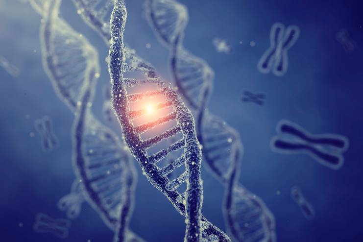 Gaucher Disease Type-1 Genetics