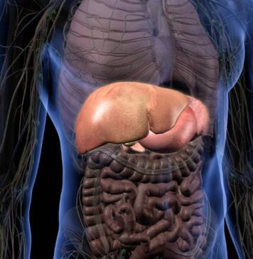 గౌచర్ వ్యాధి గురించి తెలుసా? అది ఎన్ని రకాలు.. Gaucher Disease and its Types