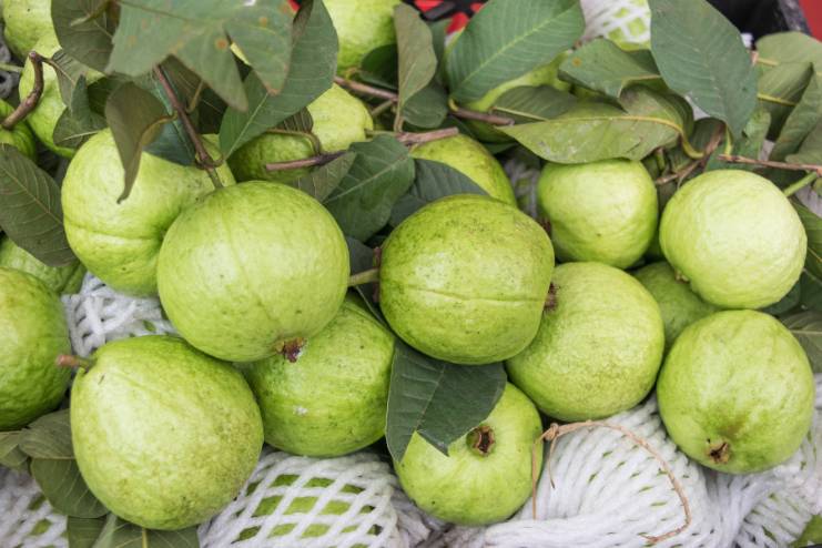 Guavas