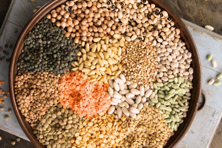 Legumes and Pulses