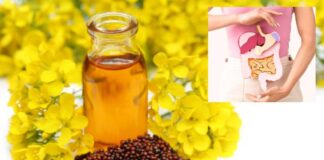 జీర్ణ వ్యవస్థకు ఆవనూనెకు ఉన్న సంబంధమేమిటో తెలుసా.? - Do you know the Link between Mustard Oil and digestive system? Link between Mustard Oil and digestive system