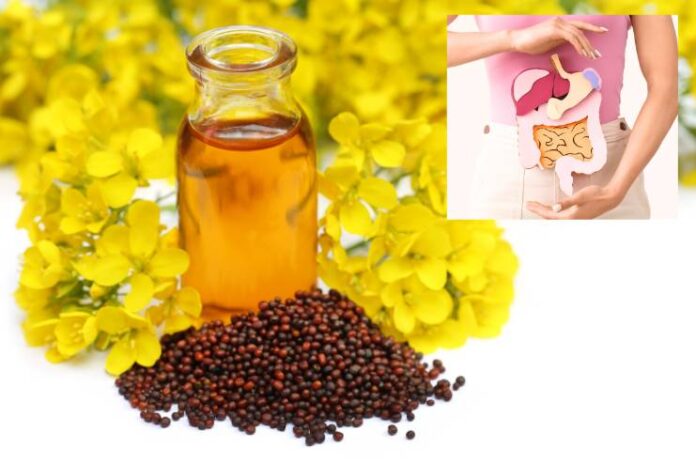 Link between Mustard Oil and digestive system