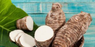 చేమగడ్డ పోషకాలు, అరోగ్య ప్రయోజనాలు తెలుసా.? - Malanga Nutritional Composition and Health Benefits Malanga Nutritional Composition and Health Benefits