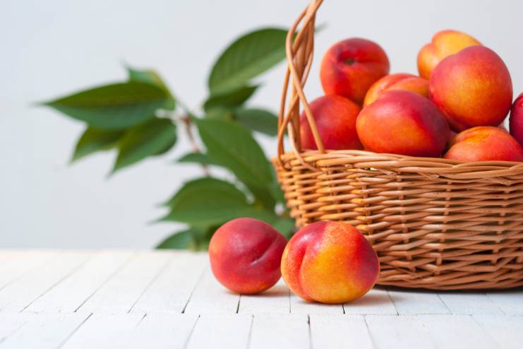 Nectarines