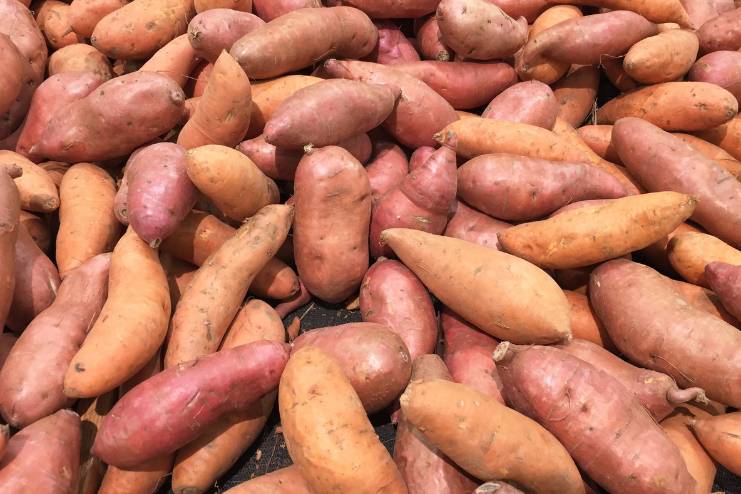 Sweet potatoes