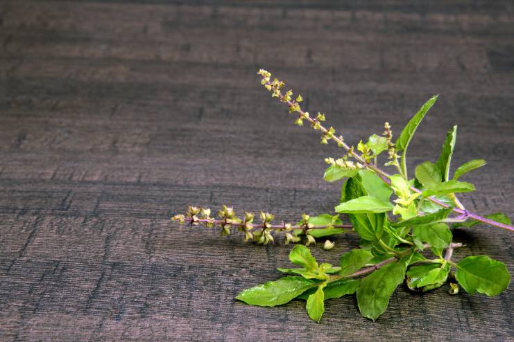 Tulsi Capsules