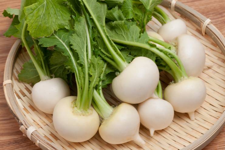 Turnips