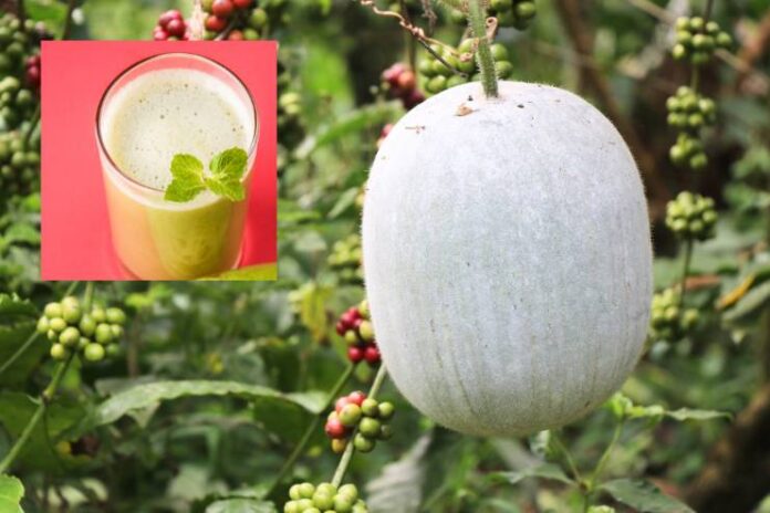 Ash Gourd Juice Health Benefits