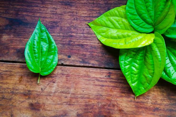 Betel leaves Health benefits