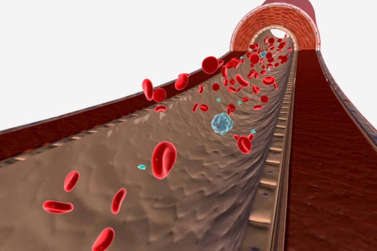 Causes of Low White Blood Cell count