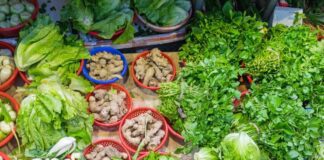 ఆకు పచ్చ కూరగాయలతో ఉత్తమ అరోగ్య ప్రయోజనాలు.! - Green Leafy Vegetables: The Power House of Health Benefits Green Leafy Vegetables Health Benefits