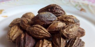 కరక్కాయ: రకాలు, ఉపయోగాలు, అందం & ఆరోగ్య ప్రయోజనాలు - Haritaki: Types, Uses, Beauty and Health Benefits Haritaki Health Benefits