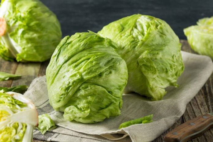 Iceberg Lettuce Health benefits