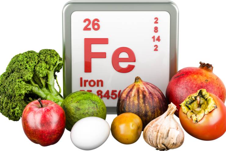 Importance of iron