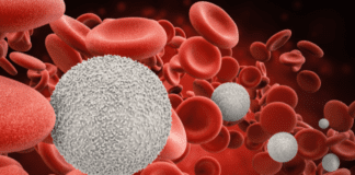 ల్యుకోపెనియా అంటే తెలుసా.? ఈ ప్రమాదకర పరిస్థితి తప్పేదెలా.? - Leukopenia Risks: Identifying Dangers and Staying Protected Leukopenia Risks