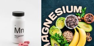 మాంగనీస్ వర్సస్ మెగ్నీషియం: శరీర అవసరాలు, ముఖ్య తేడాలు - Understanding Manganese and Magnesium: Key Differences Manganese and Magnesium