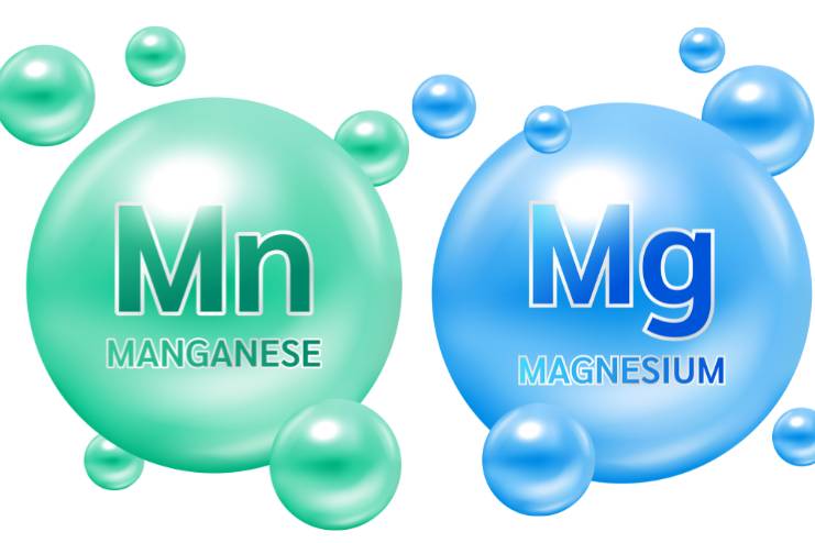 Manganese versus magnesium