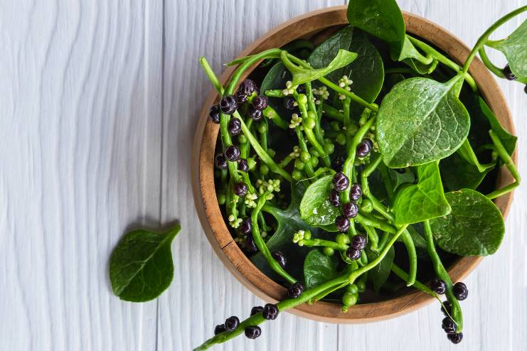 Nutritional Chart of Malabar spinach