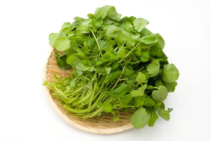 Watercress