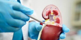 అధిక క్రియేటినిన్ స్థాయిల వెనుక ఉన్న కారకాలు ఏమిటీ? - Identifying the Factors Behind High Creatinine Levels Factors Behind High Creatinine Levels