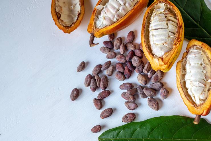 Health Benefits of Cocoa