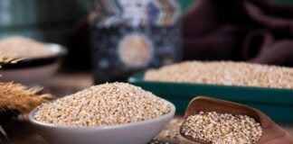 క్వినోవా: చిన్న గింజలలో పోషకాల భండాగారం, అనేక ప్రయోజనాలు - Healthy Advantages of Adding Quinoa to Your Meals Health benefits of quinoa