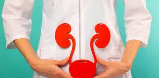 మూత్రపిండాలు: నిర్మాణం, విధులు మరియు వ్యాధులు - Kidneys: Anatomy, Role, and Common Ailments Kidney anatomy