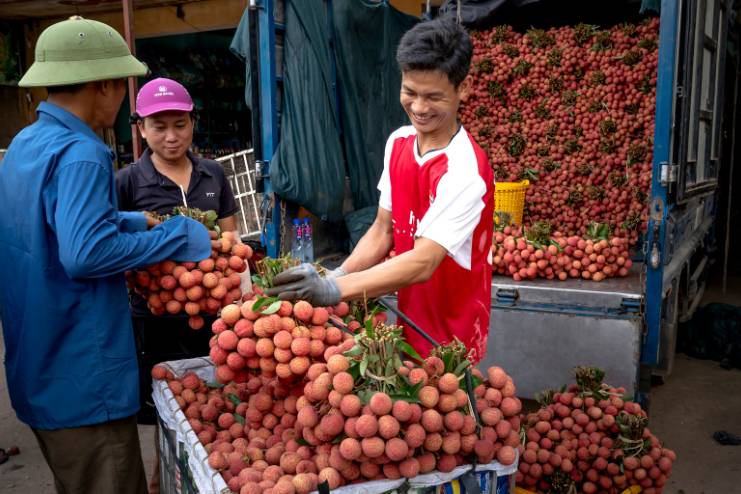 Nutritional Profile of Lychee Fruit