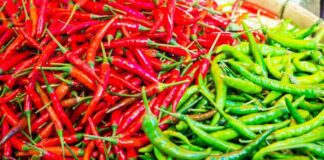 ఎర్ర మిరప కారం వర్సస్ పచ్చి మిరప కారం: పోషకాలు, ప్రయోజనాలు - Red Chilli vs Green Chilli: Nutritional profile and Health benefits Red Chilli vs Green Chilli