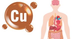 శరీరం నుండి అదనపు రాగిని తొలగించే సహజ మార్గం - Natural Way to Remove Excess Copper from Body Remove Excess Copper from Body