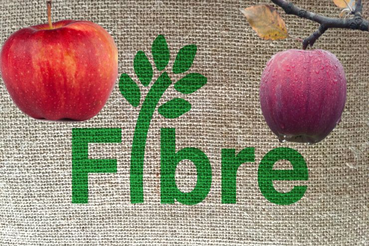 A high-fibre fruit apple