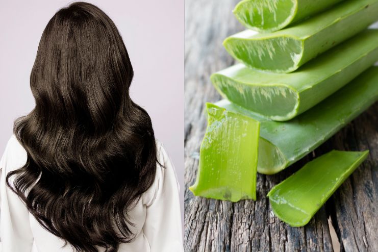 Advantages of aloevera for hair