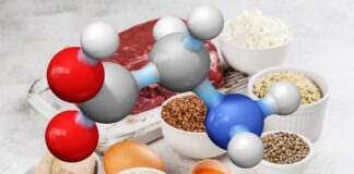 అమైనో అమ్లాలు: వాటి విధులు, నిర్మాణాలు మరియు వర్గీకరణలు - Amino Acids: Their Functions, Structures, and Classifications Amino Acids