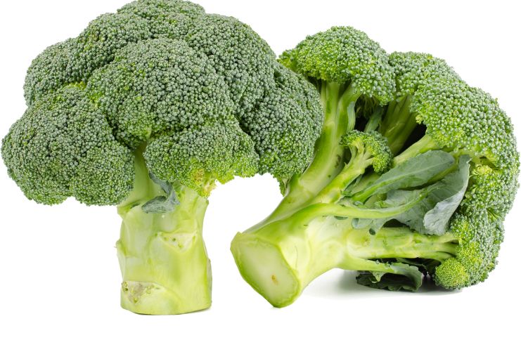 Broccoli