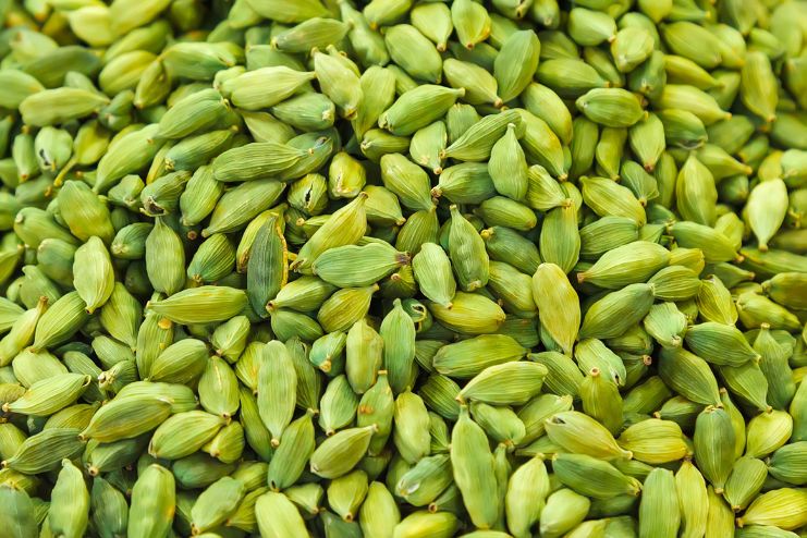 Cardamom