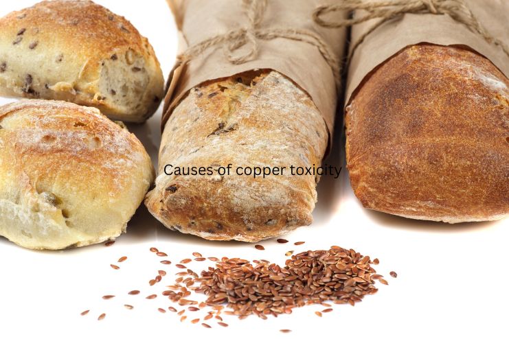 Causes of copper toxicity